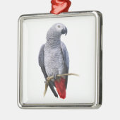 Afrikaanse grijze papegaai metalen ornament (Links)