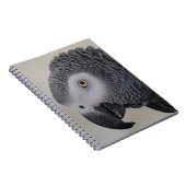 Afrikaanse grijze papegaai notitieboek (Rechterzijde)