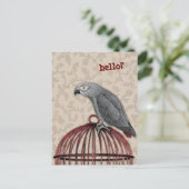 Afrikaanse grijze papegaai op de rode bloedkooi briefkaart (Staand voorkant)