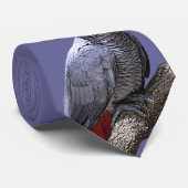 Afrikaanse grijze papegaai op kantoor stropdas (Opgerold)