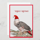 Afrikaanse Grijze Papegaai Plat Kerstkaart (Voorkant / Achterkant)