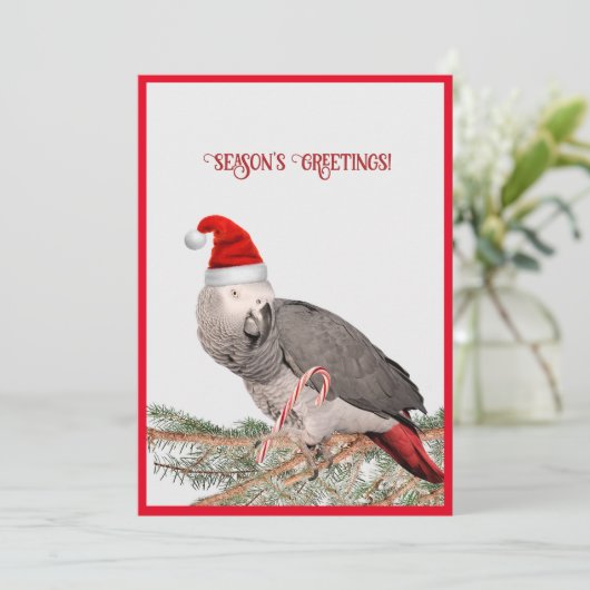 Afrikaanse Grijze Papegaai Plat Kerstkaart (Staand voorkant)