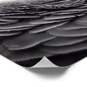 Afrikaanse grijze papegaai poster (Hoek)