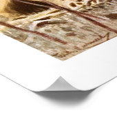 Afrikaanse grijze papegaai poster (Hoek)