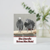 Afrikaanse grijze papegaai, postkruising briefkaart (Staand voorkant)