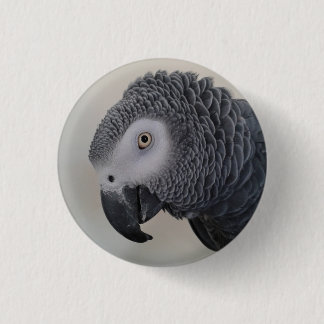 Afrikaanse grijze papegaai ronde button 3,2 cm