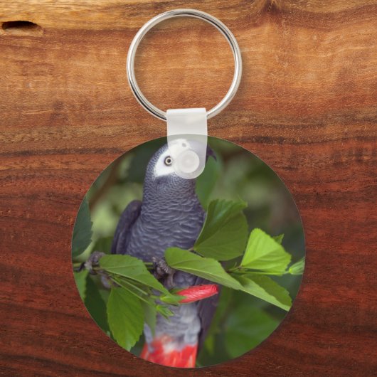 Afrikaanse grijze papegaai sleutelhanger (Voorkant)