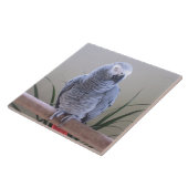Afrikaanse grijze papegaai tegeltje (Zijkant)