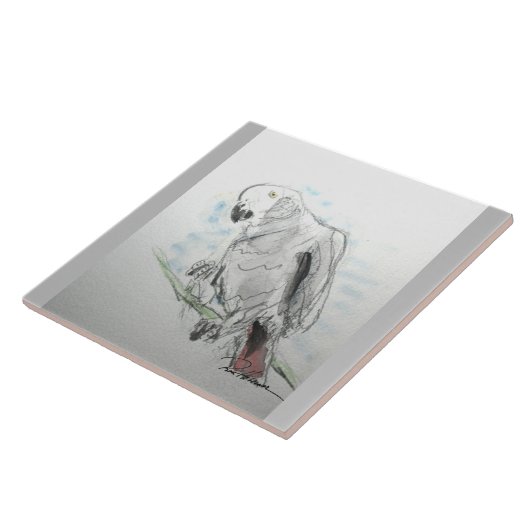 Afrikaanse grijze papegaai tegeltje (Zijkant)