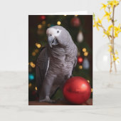Afrikaanse grijze papegaai vakantie kaarten (Gele Bloem)
