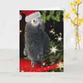 Afrikaanse grijze papegaai vakantieseizoen kaart (Gele Bloem)