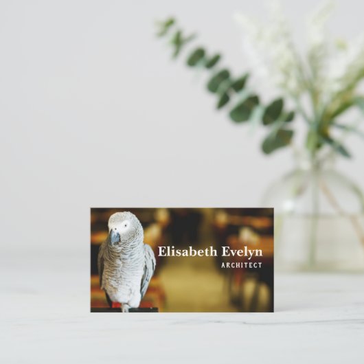 Afrikaanse grijze papegaai visitekaartje (Staand voorkant)