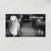 Afrikaanse grijze papegaai visitekaartje (Achterkant)