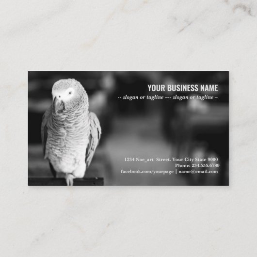 Afrikaanse grijze papegaai visitekaartje (Achterkant)
