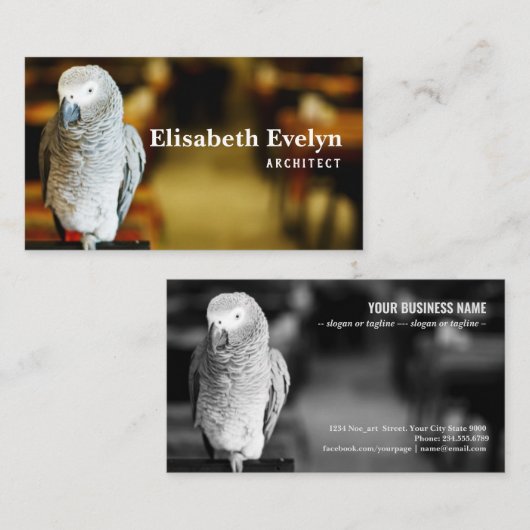 Afrikaanse grijze papegaai visitekaartje (Voorkant / Achterkant)