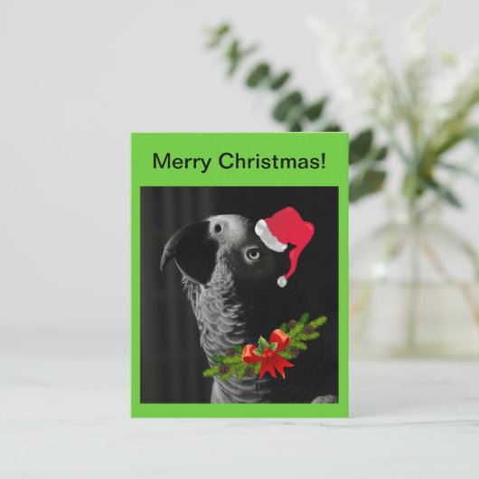 Afrikaanse grijze papegaai vrolijk kerstfeest! Bri Feestdagenkaart (Staand voorkant)