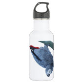 Afrikaanse grijze papegaai waterfles (Voorkant)