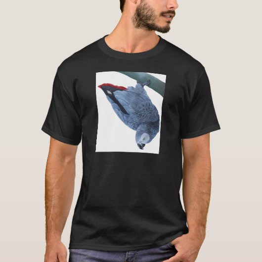 Afrikaanse grijze papegaaicadeaus t-shirt (Voorkant)