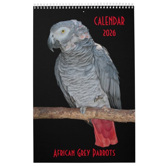 Afrikaanse grijze papegaaien kalender (Hoes)