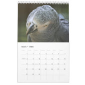 Afrikaanse grijze papegaaien kalender (Mar 2026)