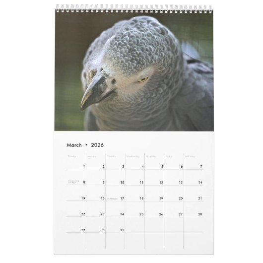 Afrikaanse grijze papegaaien kalender (Mar 2026)