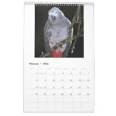 Afrikaanse grijze papegaaien kalender (Feb 2026)