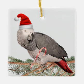Afrikaanse Grijze Parrot Keramische Kerstversierin Keramisch Ornament