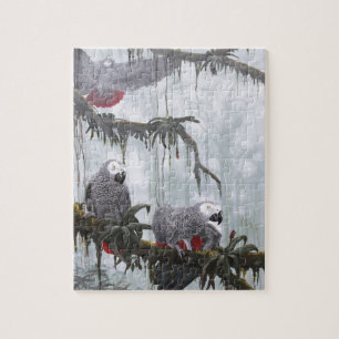 Afrikaanse grijze parrots die vrij vliegen legpuzzel