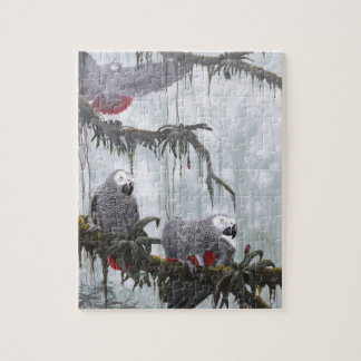 Afrikaanse grijze parrots die vrij vliegen legpuzzel