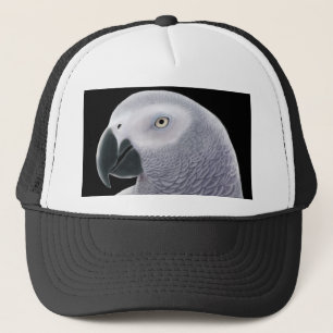 Afrikaanse grijze Pet