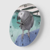 Afrikaanse grijze pool grote klok (Hoek)