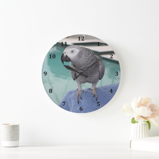 Afrikaanse grijze pool grote klok (Huis)