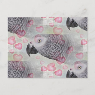 Afrikaanse grijze Puffy Hearts Briefkaart