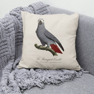 Afrikaanse grijze roodstaartpapegaai, Psittacus er Kussen
