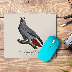 Afrikaanse grijze roodstaartpapegaai, Psittacus er Muismat