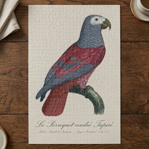 Afrikaanse Grijze Roodstaartpapegaai Psittacus Eri Legpuzzel