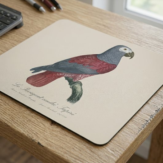 Afrikaanse Grijze Roodstaartpapegaai Psittacus Eri Muismat
