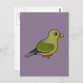 Afrikaanse groene duif briefkaart (Voorkant / Achterkant)