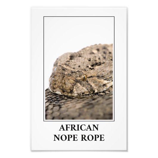 Afrikaanse helling - Puff adder Snake Danger Foto Afdruk (Voorkant)