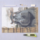 Afrikaanse Hippo karikatuur Peeking Safari Cartoon Tissuepapier (Craft)