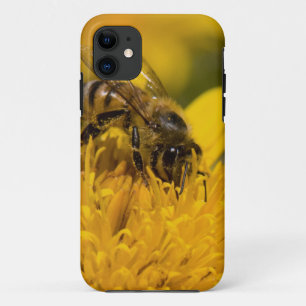 Afrikaanse honingbij met stuifmeerzakjes bij het v iPhone 11 hoesje