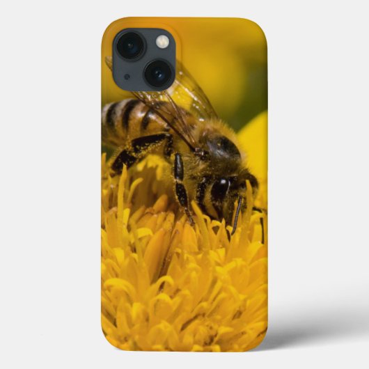 Afrikaanse honingbijen met stuifmeel Case-Mate iPhone case (Achterkant)
