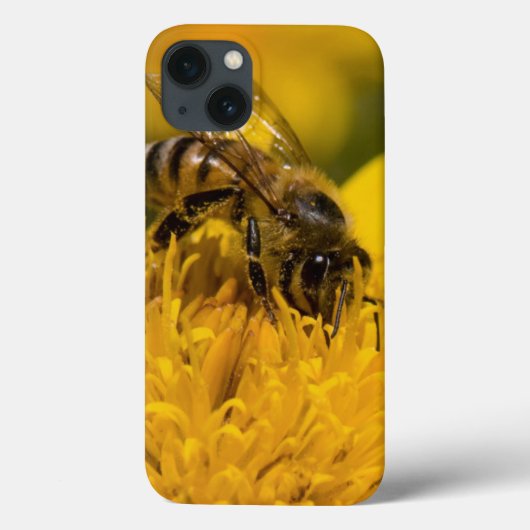 Afrikaanse honingbijen met stuifmeel Case-Mate iPhone case (Achterkant)