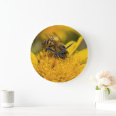 Afrikaanse honingbijen met stuifmeel grote klok (Huis)