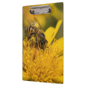 Afrikaanse honingbijen met stuifmeelvoeding klembord (Links)