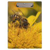 Afrikaanse honingbijen met stuifmeelvoeding klembord (Voorkant)