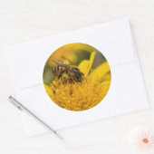 Afrikaanse honingbijen met stuifmeelvoeding ronde sticker (Envelop)