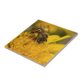Afrikaanse honingbijen met stuifmeelvoeding tegeltje (Zijkant)