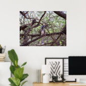 Afrikaanse hornbill in de takken poster (Thuiskantoor)