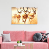 Afrikaanse Impala Canvas Kunst (Insitu (Woonkamer))
